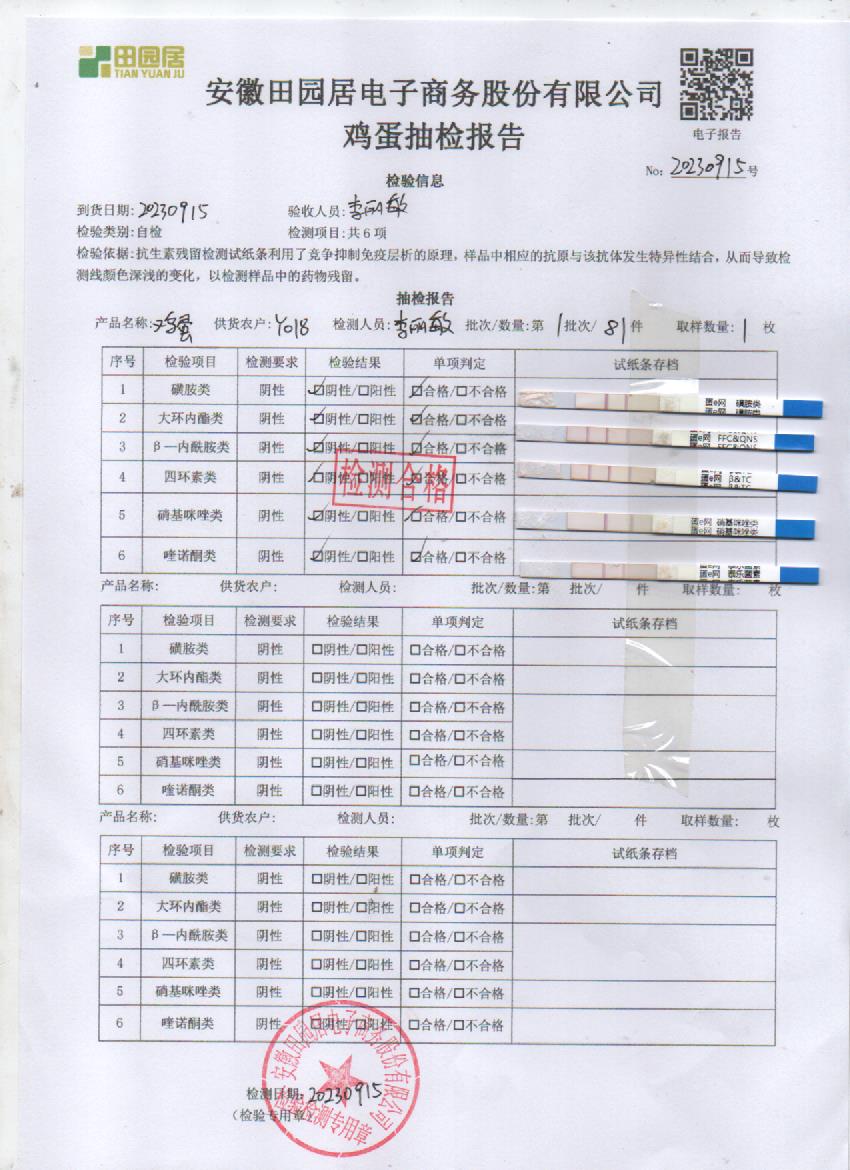 2023年9月15號鮮雞蛋檢測報告