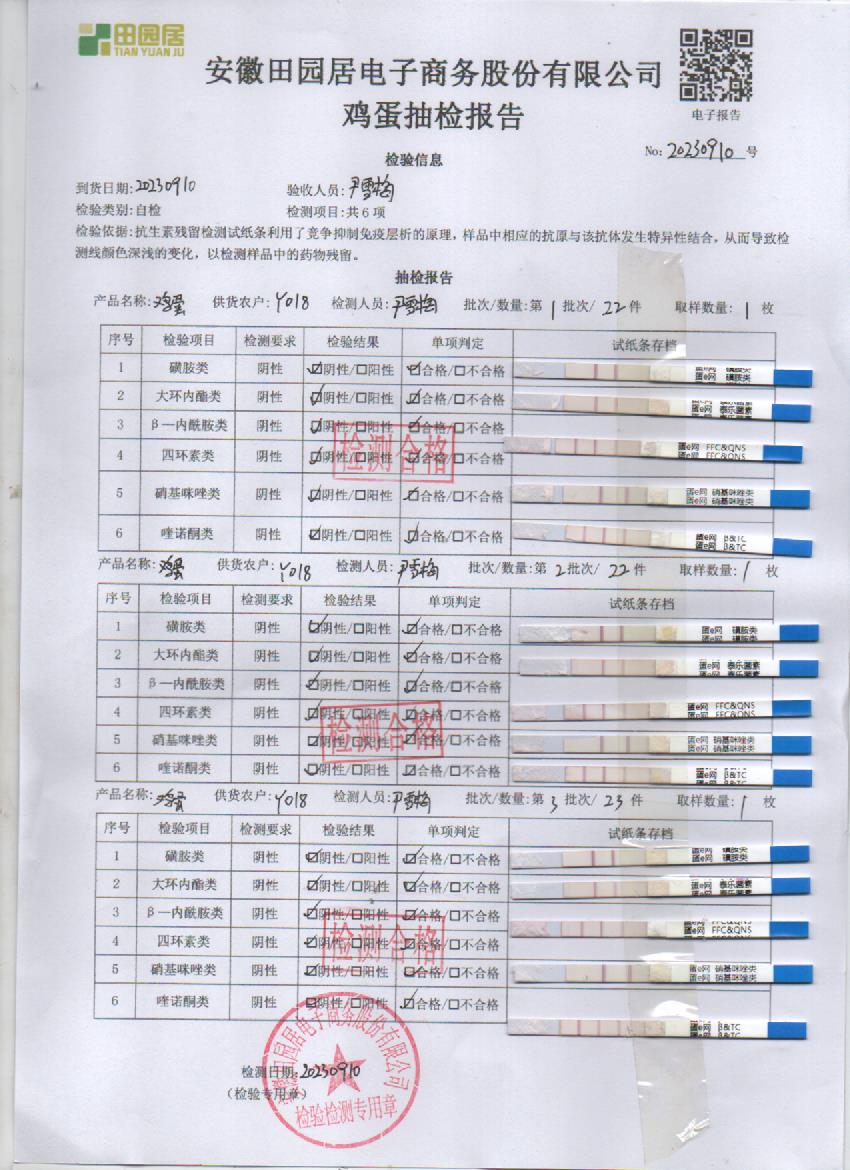 2023年9月10號鮮雞蛋檢測報告