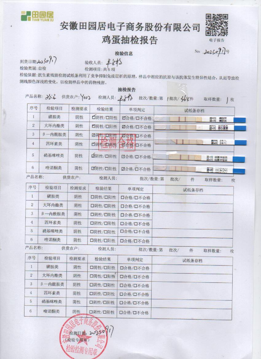 2023年9月17號鮮雞蛋檢測報告