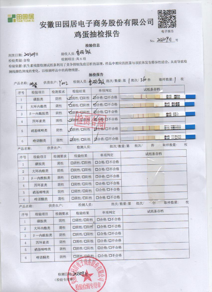 2023年9月11號鮮雞蛋檢測報告