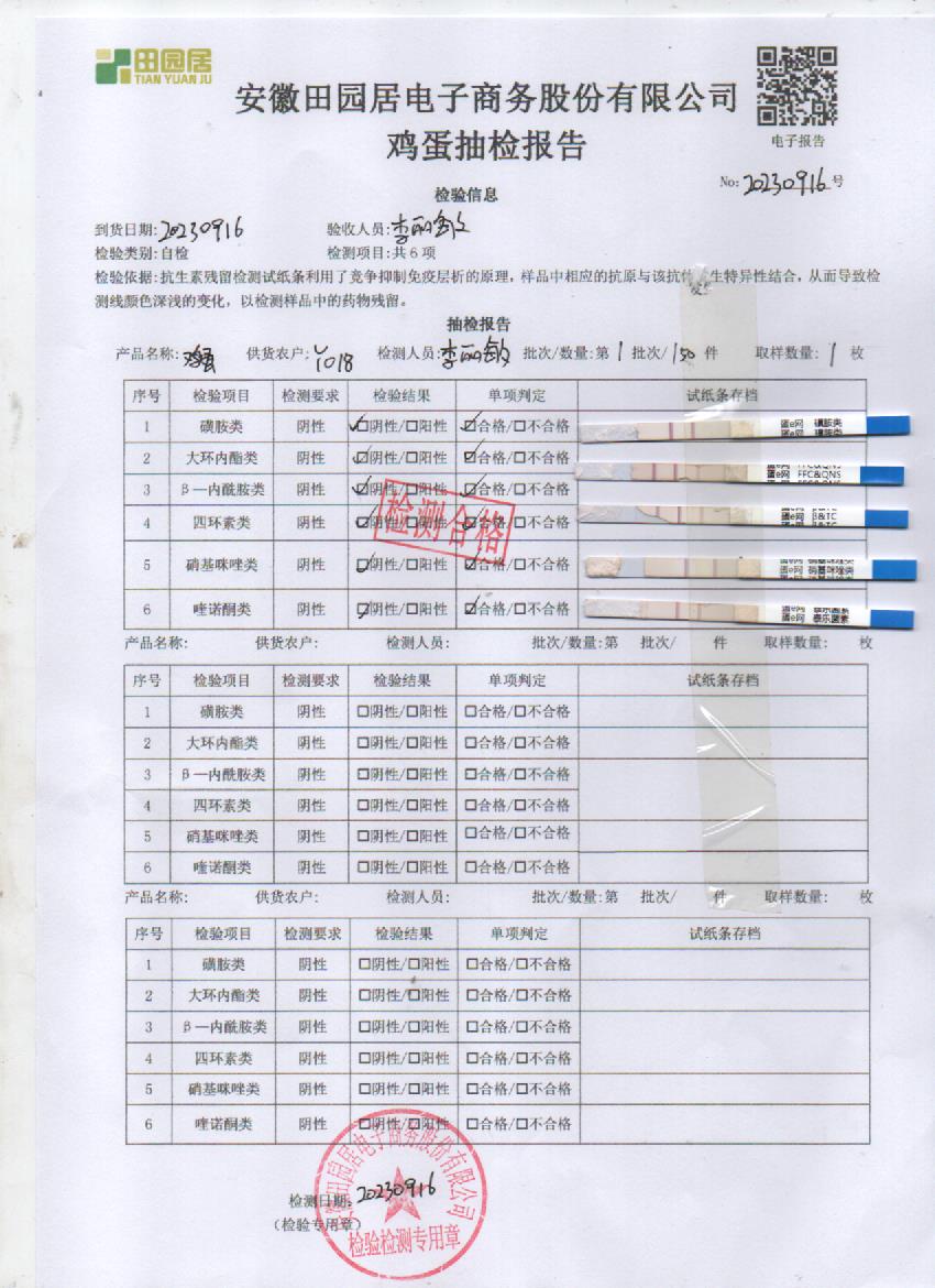 2023年9月16號鮮雞蛋檢測報告